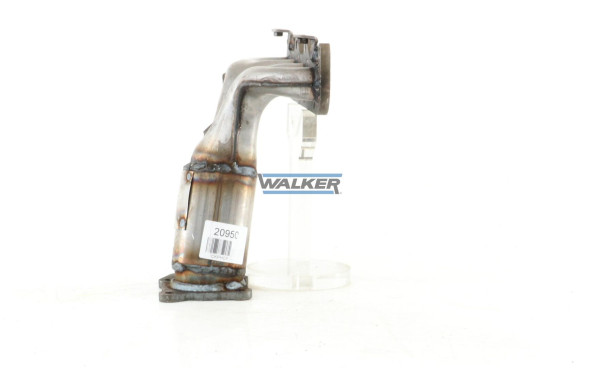 20950 WALKER