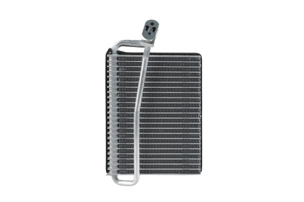 WEV00119