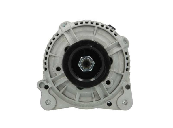 305.509.120.010 BV PSH