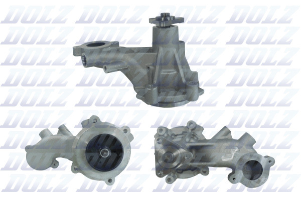 F251 DOLZ