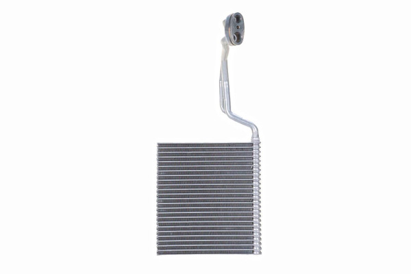 WEV00036