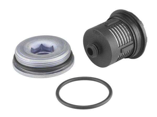 DS120456 BORGWARNER
