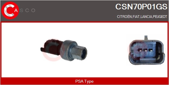 CSN70P01GS