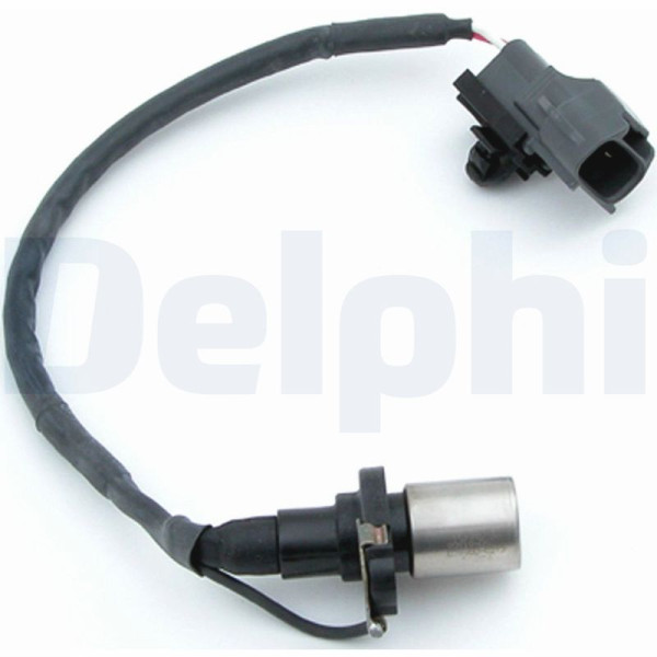 SS10196 DELPHI