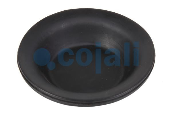 6001100 COJALI