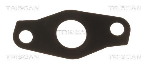 8813 99199 TRISCAN