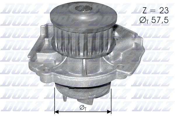 S219 DOLZ
