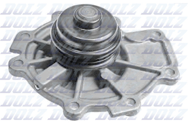 F142 DOLZ