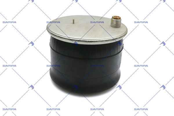 SP 556126-K01