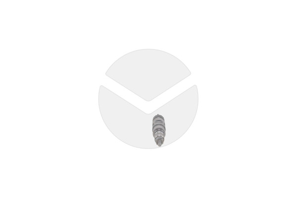 721643 APS-REMA GERMAN