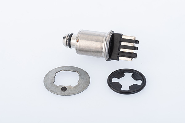 DS120686 BORGWARNER