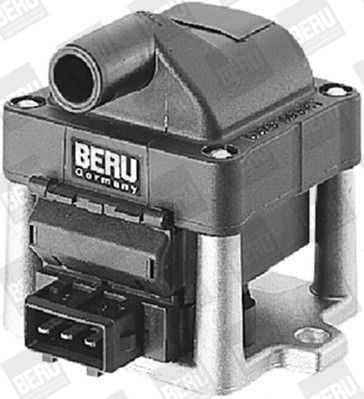 ZS2001 BORGWARNER (BER