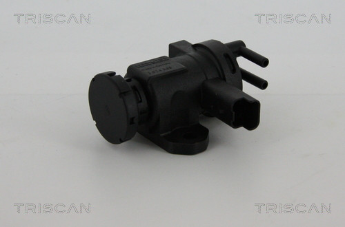 8813 28016 TRISCAN