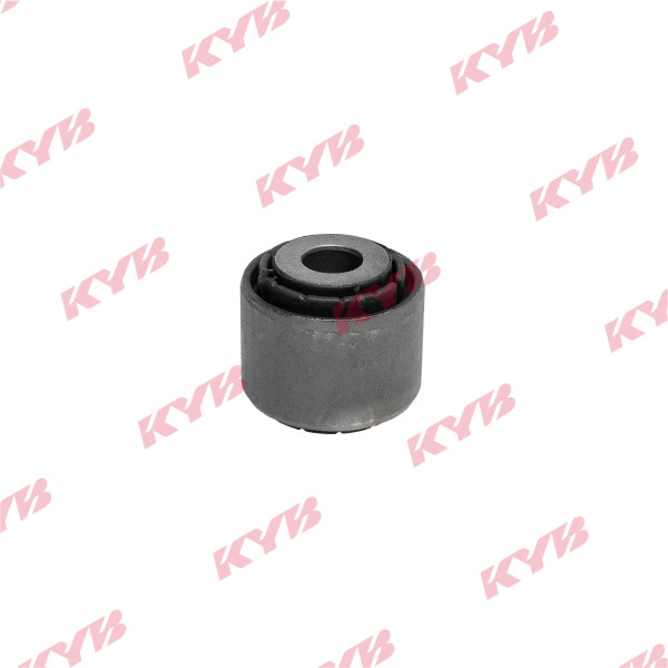 KCM1001