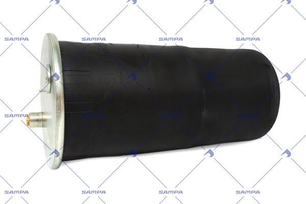 SP 556122-01