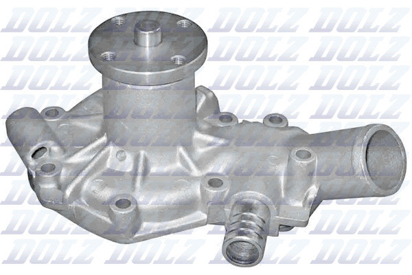 N566 DOLZ