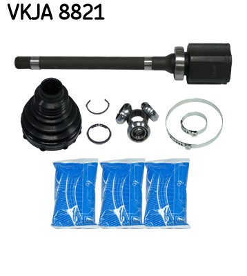 VKJA 8821