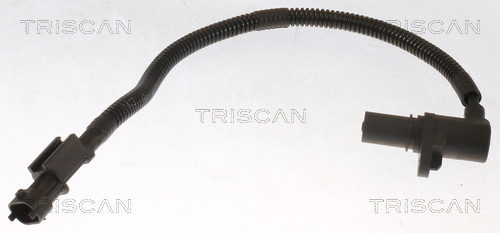 8855 18116 TRISCAN
