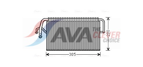 MSV486