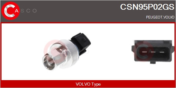 CSN95P02GS