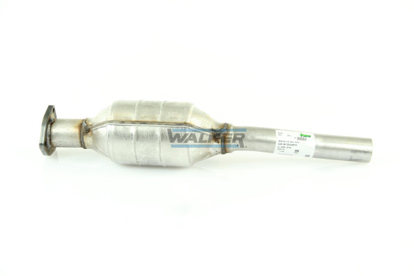 20059 WALKER