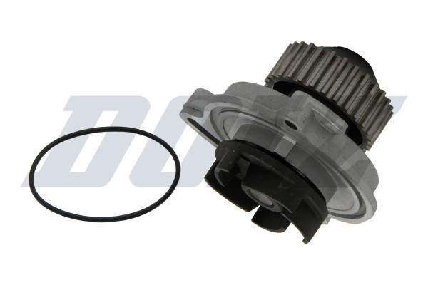 A158 DOLZ