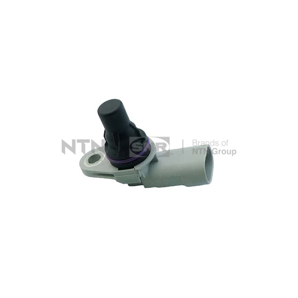 CMP181.01