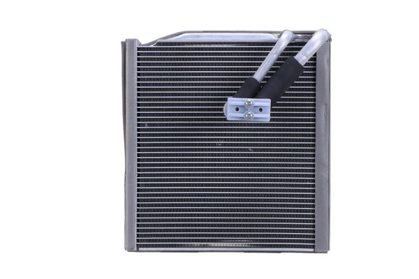 WEV00065