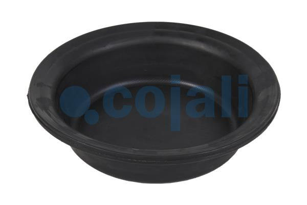 6001122 COJALI