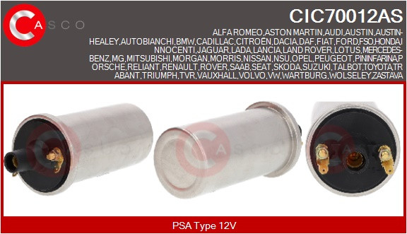 CIC70012AS