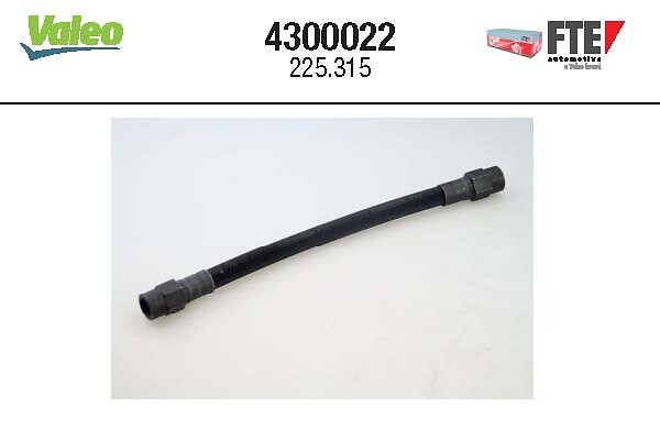 4300022 FTE