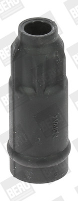 GS29