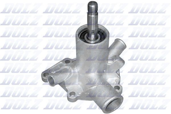 N305 DOLZ