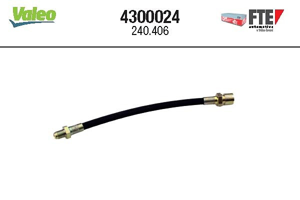 4300024 FTE