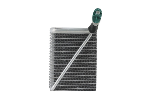 WEV00018