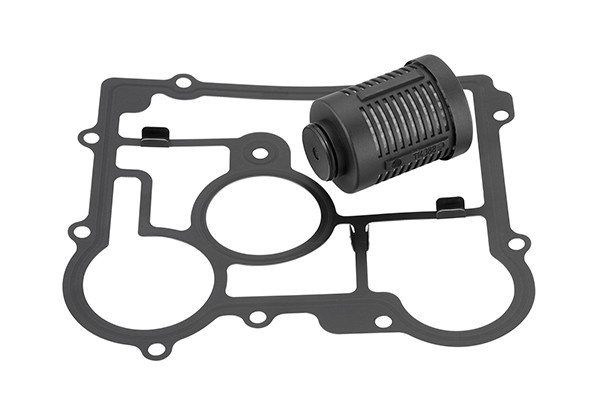 DS2006273 BORGWARNER