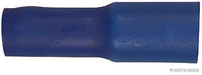 1000093147