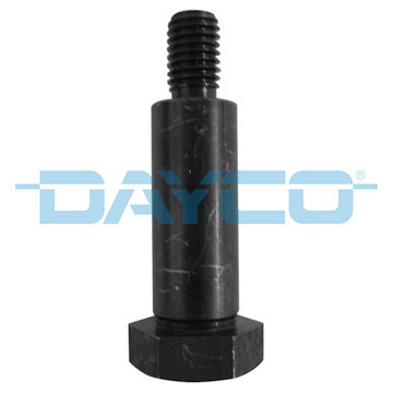 V0171 DAYCO