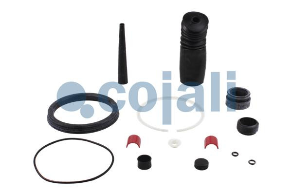 6014104 COJALI