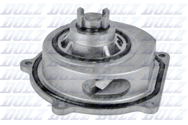 M145 DOLZ