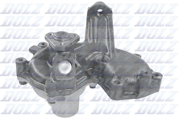 S282 DOLZ