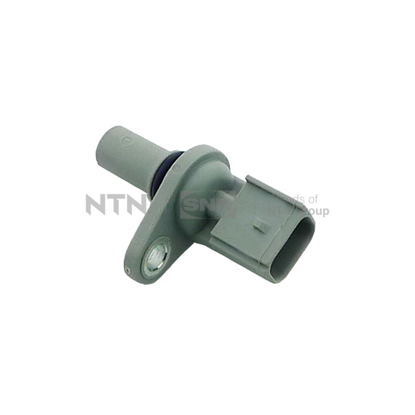 CMP183.01