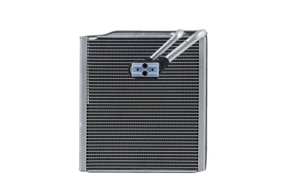 WEV00087
