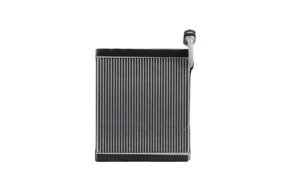 WEV00059