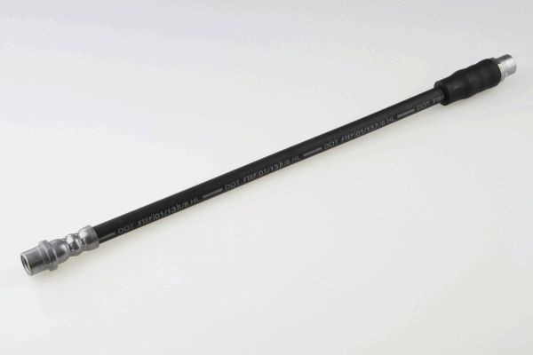 40033800