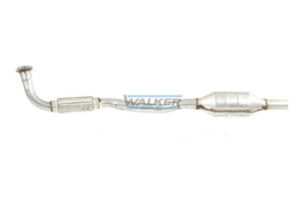 20599 WALKER