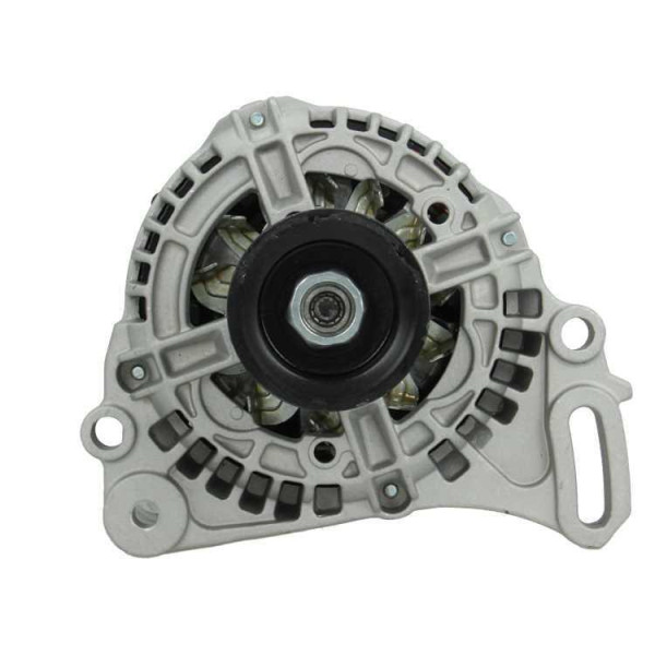 305.561.110.010 BV PSH