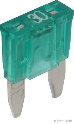 1000098487