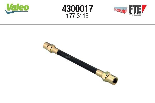 4300017 FTE