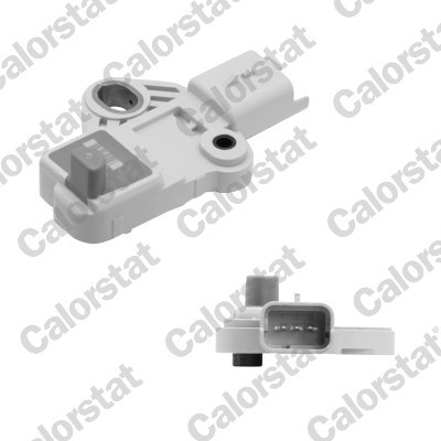 CS0416 CALORSTAT BY VE